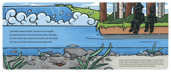A Salmon Story : Protecting the Future