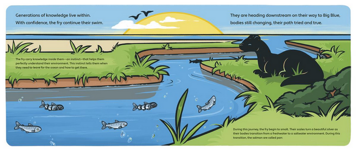 A Salmon Story : Protecting the Future