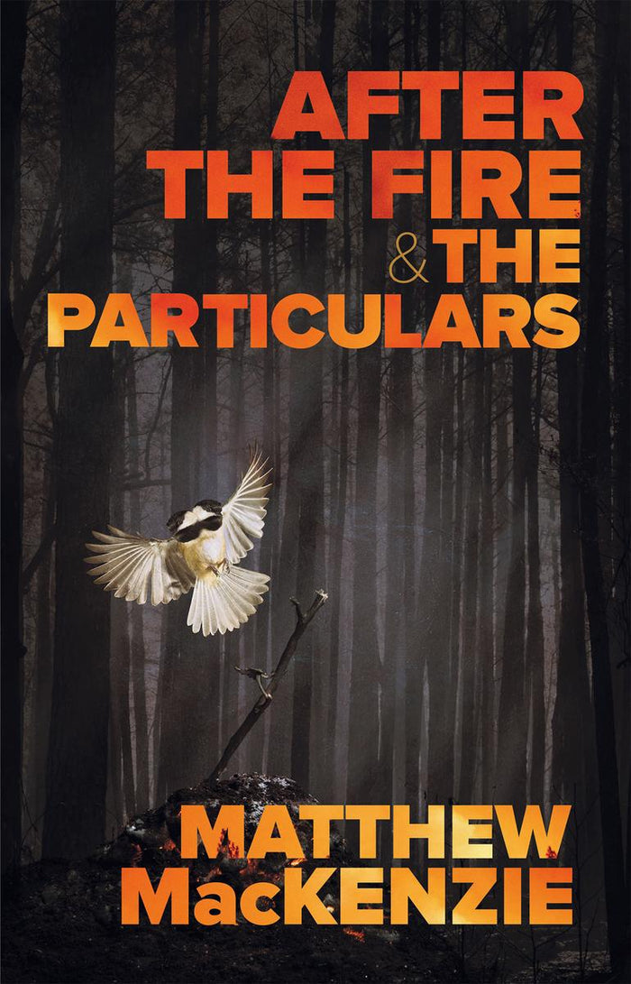 After the Fire & The Particulars