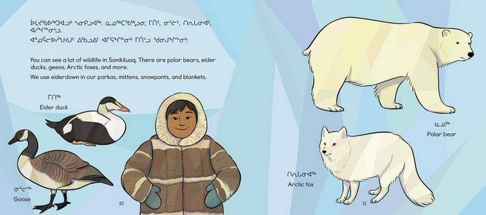 All about Sanikiluaq. Community Connection. Inuktitut & English.