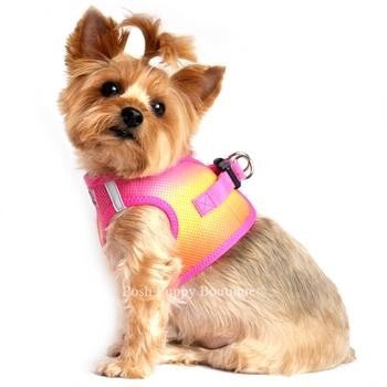 American River Ultra Choke Free Dog Harness- Ombre Collection -Raspberry Pink and Orange - Posh Puppy Boutique