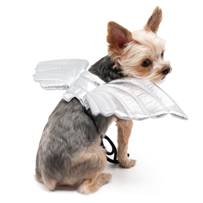 Angel Wings in Silver