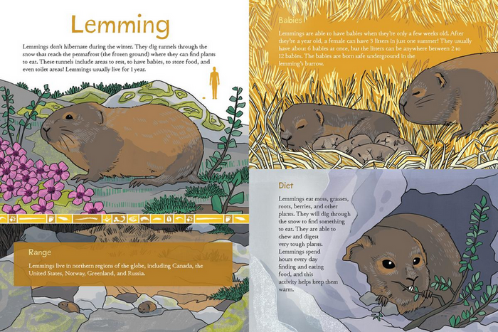 Animals Illustrated : Arctic Land Mammals