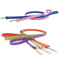 Auburn Town Leash - Many Colors - Posh Puppy Boutique