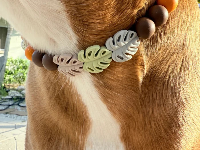 Autumn Trails Beaded Pet Collar