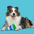 BARK Stinky Valley Ranch Plush Dog Toy