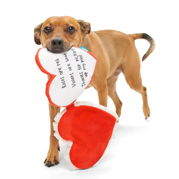 Bark Valentine's Be Mine Growlentine Plush Dog Toy