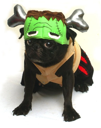 Barkenstein Costume - Posh Puppy Boutique