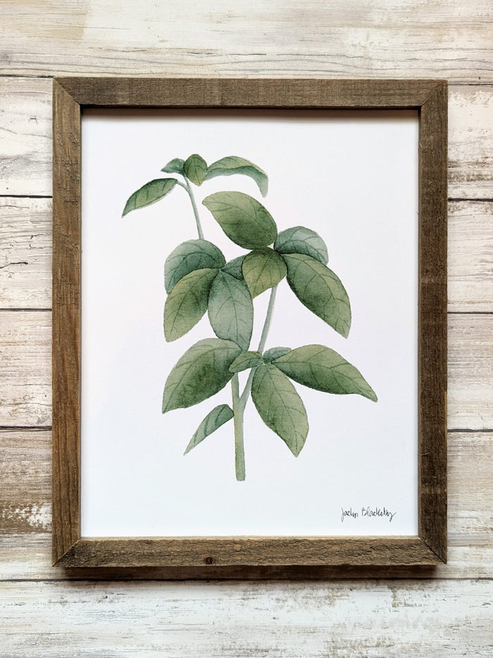 611fc05e3c4ce80992caae23_basil-print-framed_1774991250724.jpg