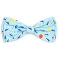 Birthday Boy Bow Tie - Posh Puppy Boutique