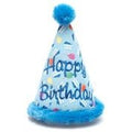 Birthday Boy Hat Toy