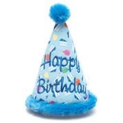Birthday Boy Hat Toy
