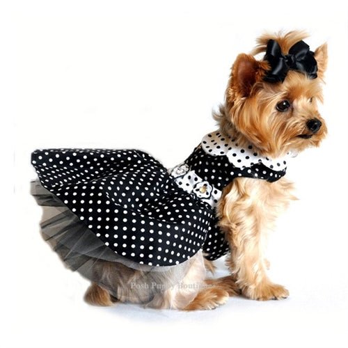 Black and White Polka Dot Dog Dress - Posh Puppy Boutique