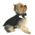 Black Dog Tuxedo With Tails, Bow Tie and Collar - Posh Puppy Boutique