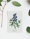 611fc05e3c4ce80992caae23_bluebonnet-mock_1748014651162.jpg