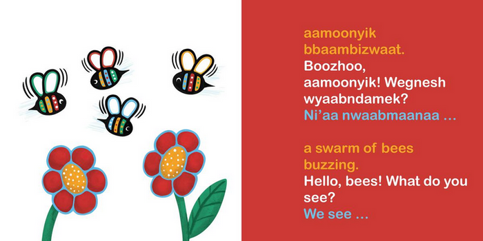 Boozhoo! / Hello! (Boardbook)