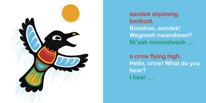 Boozhoo! / Hello! (Boardbook)