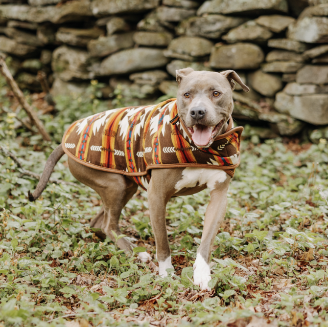 Brown Southwest Blanket Dog Coat