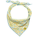 611fc05e3c4ce80992caae23_buttercup-glow-bandana_1771811584613.jpg