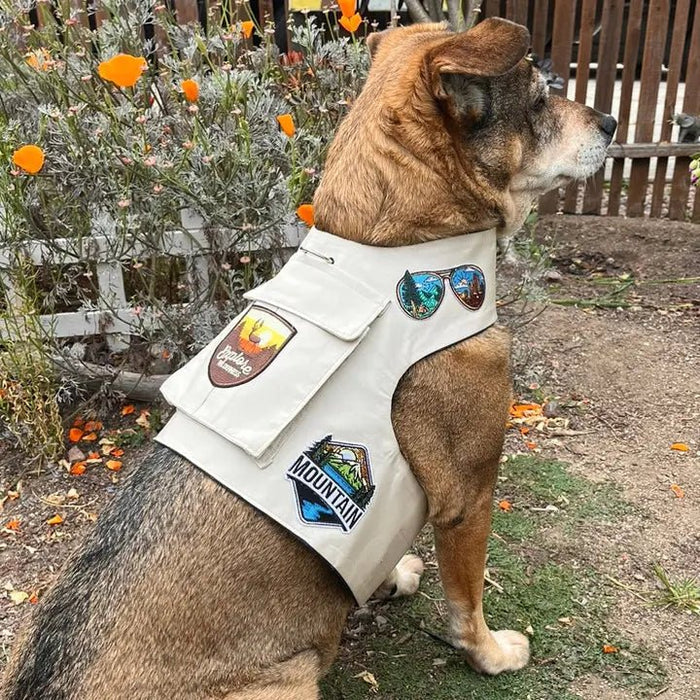 Camp Harness Vest in Khaki - Posh Puppy Boutique