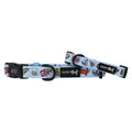 Coastal Cuties Collar