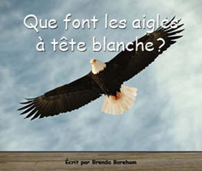 Collection Lecteurs forts - A: Que font les aigles à tête blanche?