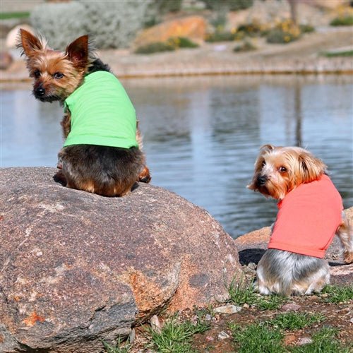 Cotton Dog Tank - Green Flash - Posh Puppy Boutique