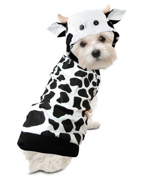 Cow Costume
