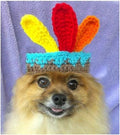Crochet Indian Beanie Hat - Posh Puppy Boutique