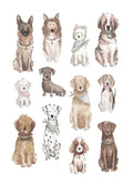 611fc05e3c4ce80992caae23_dog-notecard-front_1777154966470.jpg