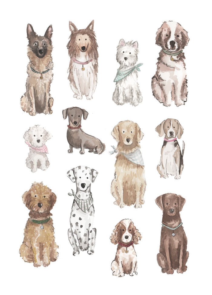611fc05e3c4ce80992caae23_dog-notecard-front_1777154966470.jpg