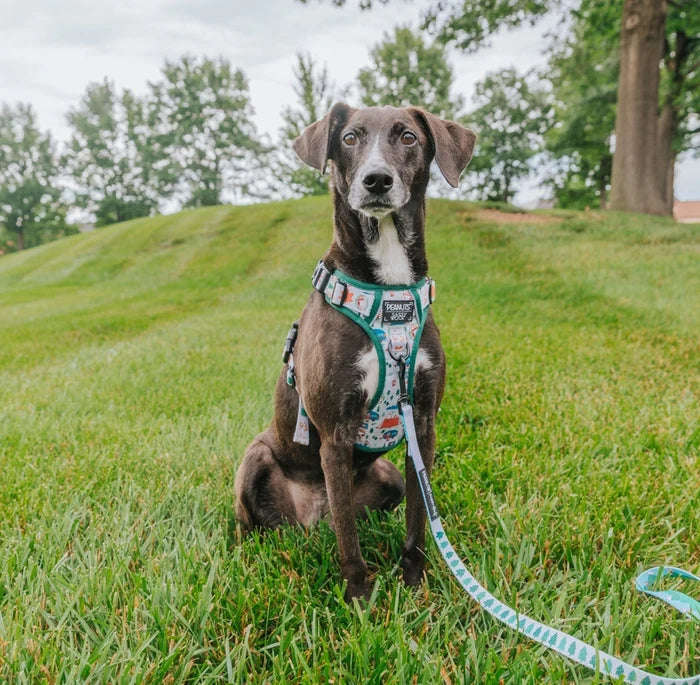 Dog Step-in Harness -Peanuts™ Beagle Scouts