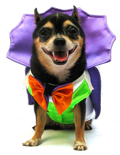 Dogula Costume - Posh Puppy Boutique