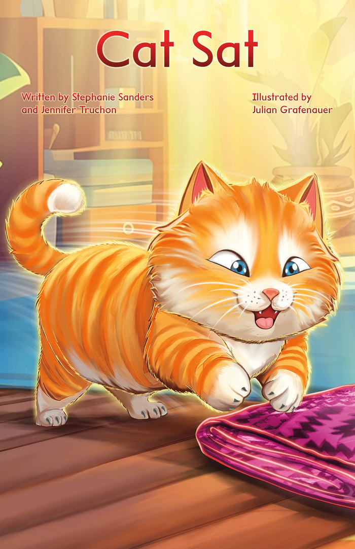 Drumbeat Decodables Set 3 (12 Books)