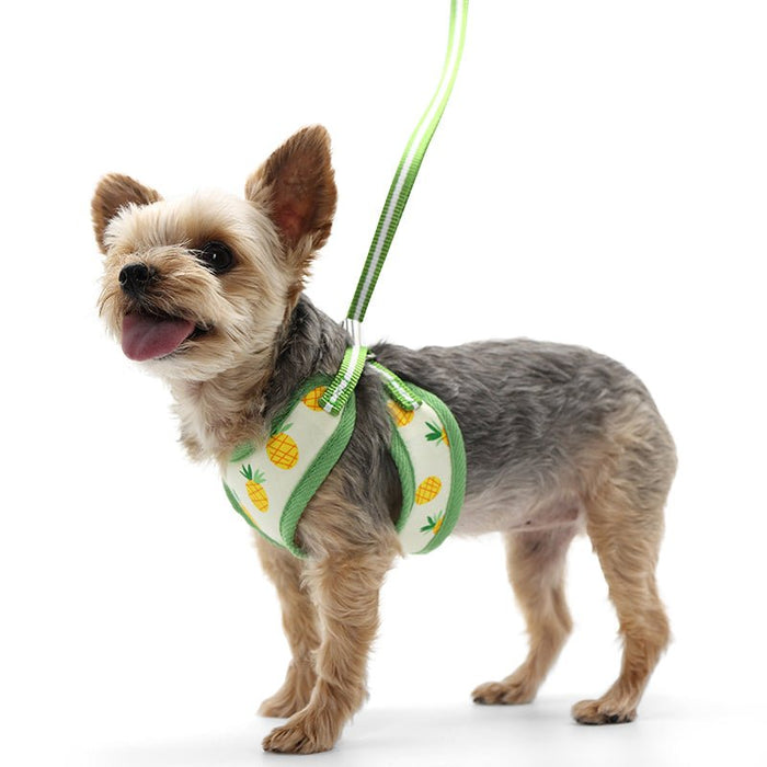 EasyGO Pineapple Yellow Harness - Posh Puppy Boutique