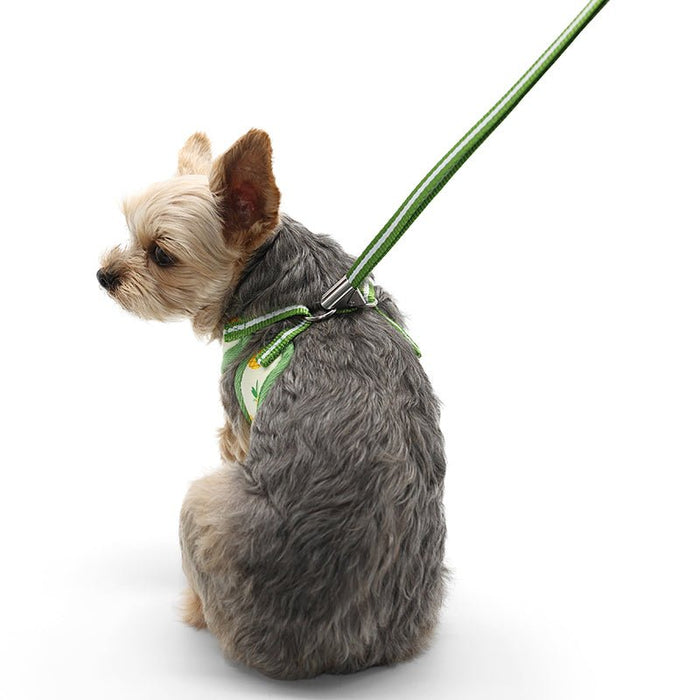 EasyGO Pineapple Yellow Harness - Posh Puppy Boutique
