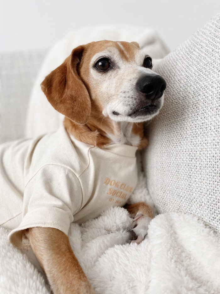 Embroidered Tee (Dog)