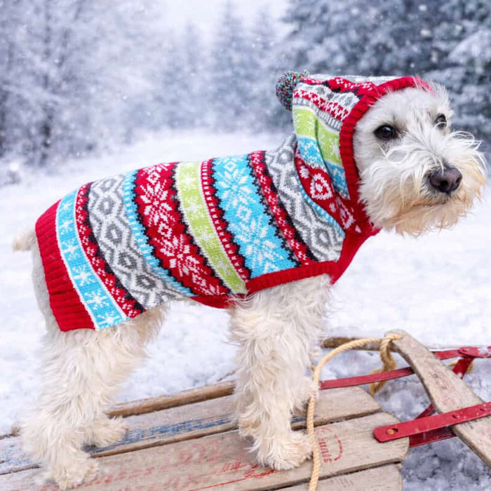 Fairisle Hoodie Sweater