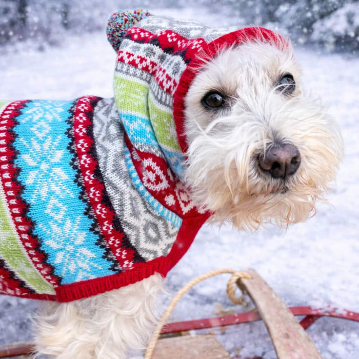 Fairisle Hoodie Sweater