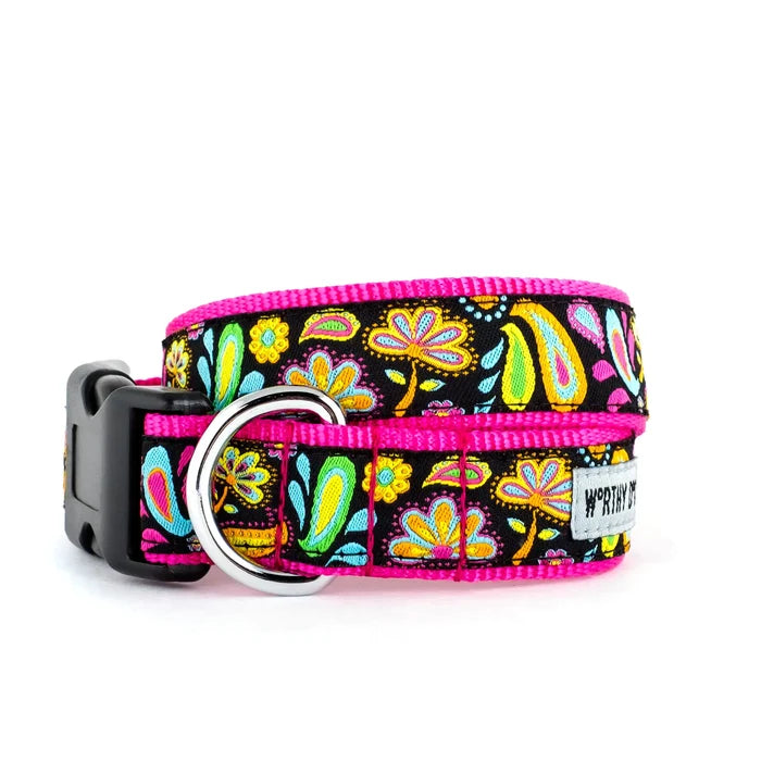 Floral Paisley Collar & Lead