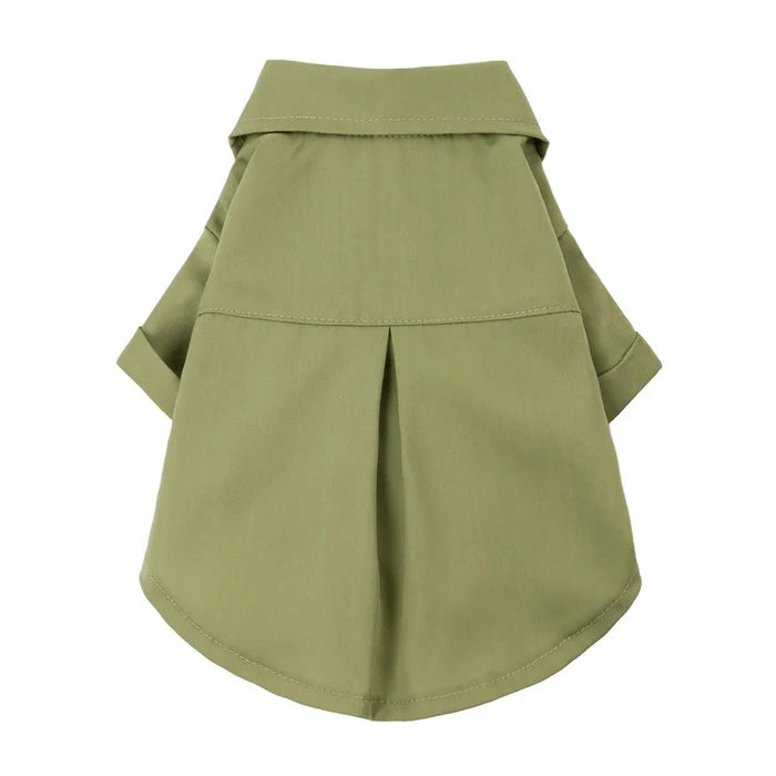 Formal Dog Collar Shirt in Olive