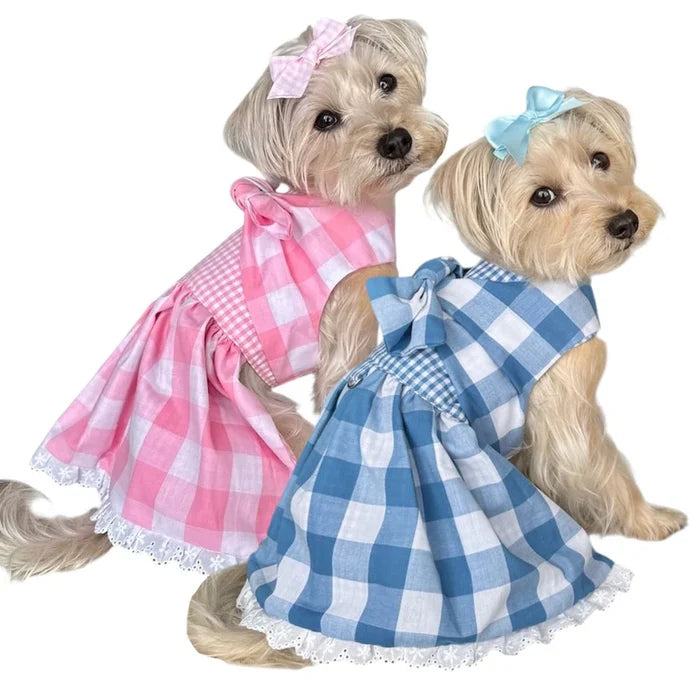Gingham Picnic Dress in 2 Colors