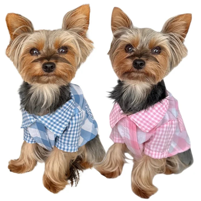 Gingham Picnic Shirt in 2 Colors
