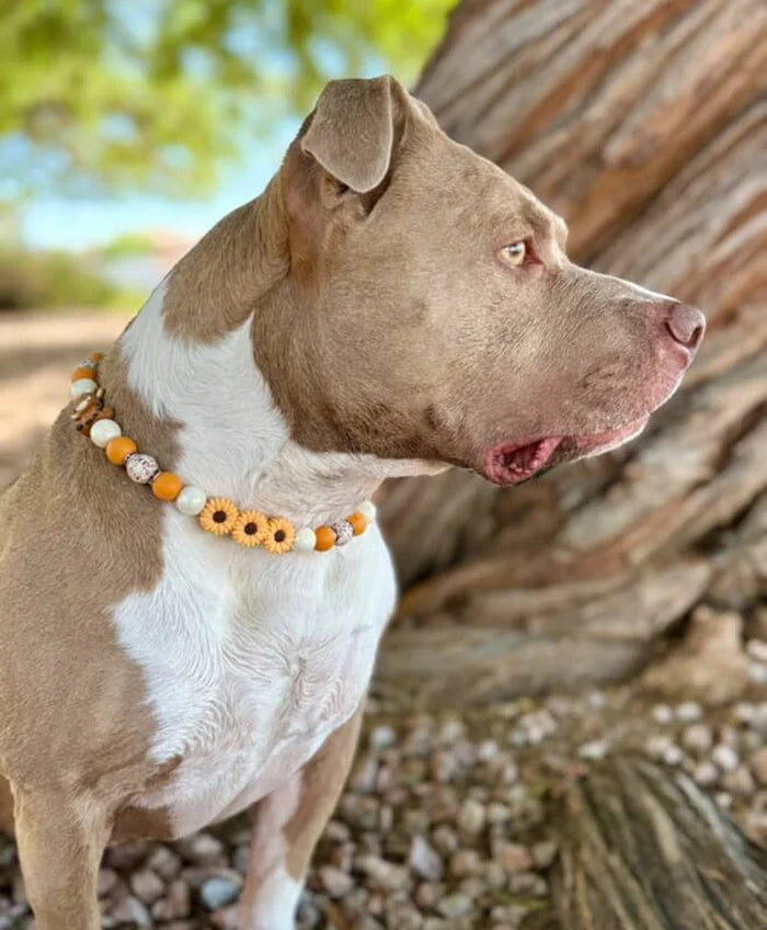 Highland Honey Beaded Collar