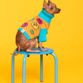 How're You Feeling Sweater with Matching Human Sweater Vest - Posh Puppy Boutique