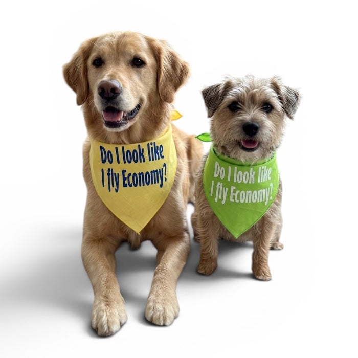 I Don't Fly Economy Bandana in Many Colors