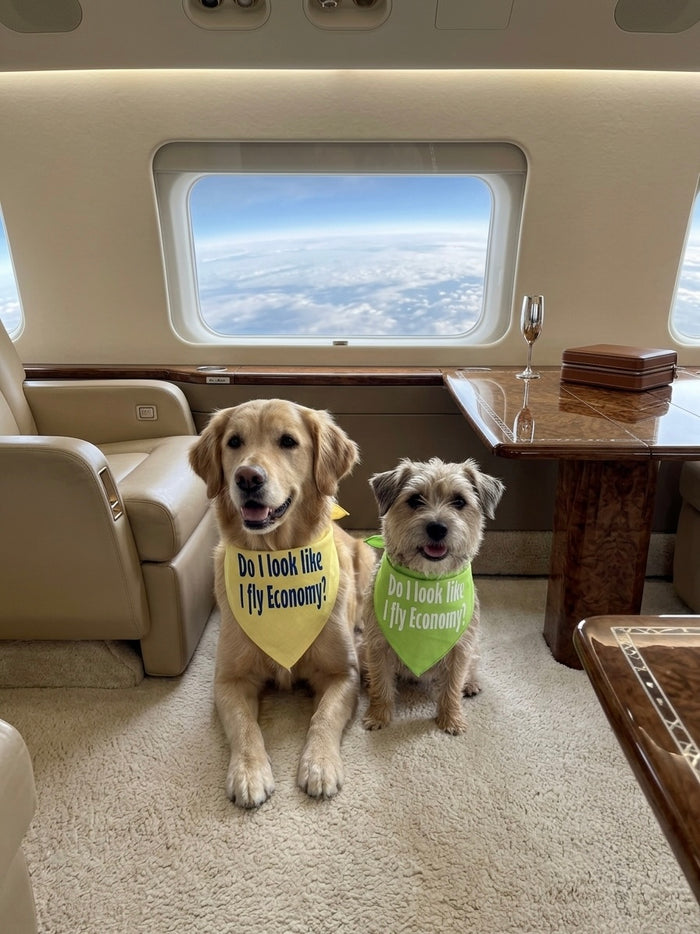 I Don't Fly Economy Bandana in Many Colors