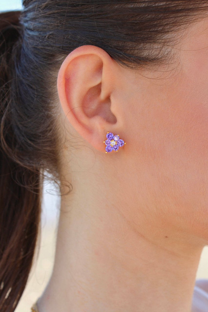 611fc05e3c4ce80992caae23_iris-studs_1781209826058.jpg