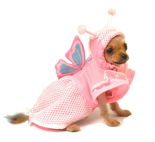 Lady Butterfly Costume - Posh Puppy Boutique