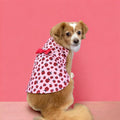 Ladybug Dress - Posh Puppy Boutique
